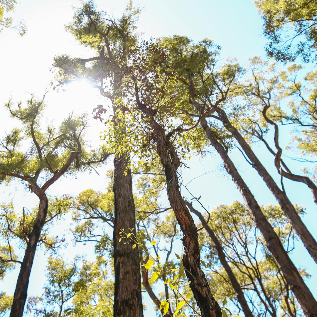 Powering Australia, Minviro and Rise-X to explore ESG supply chain initiative.