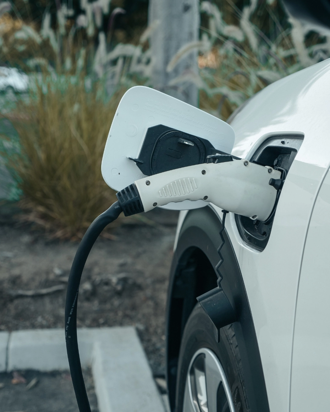 MAKING IT HAPPEN (5)