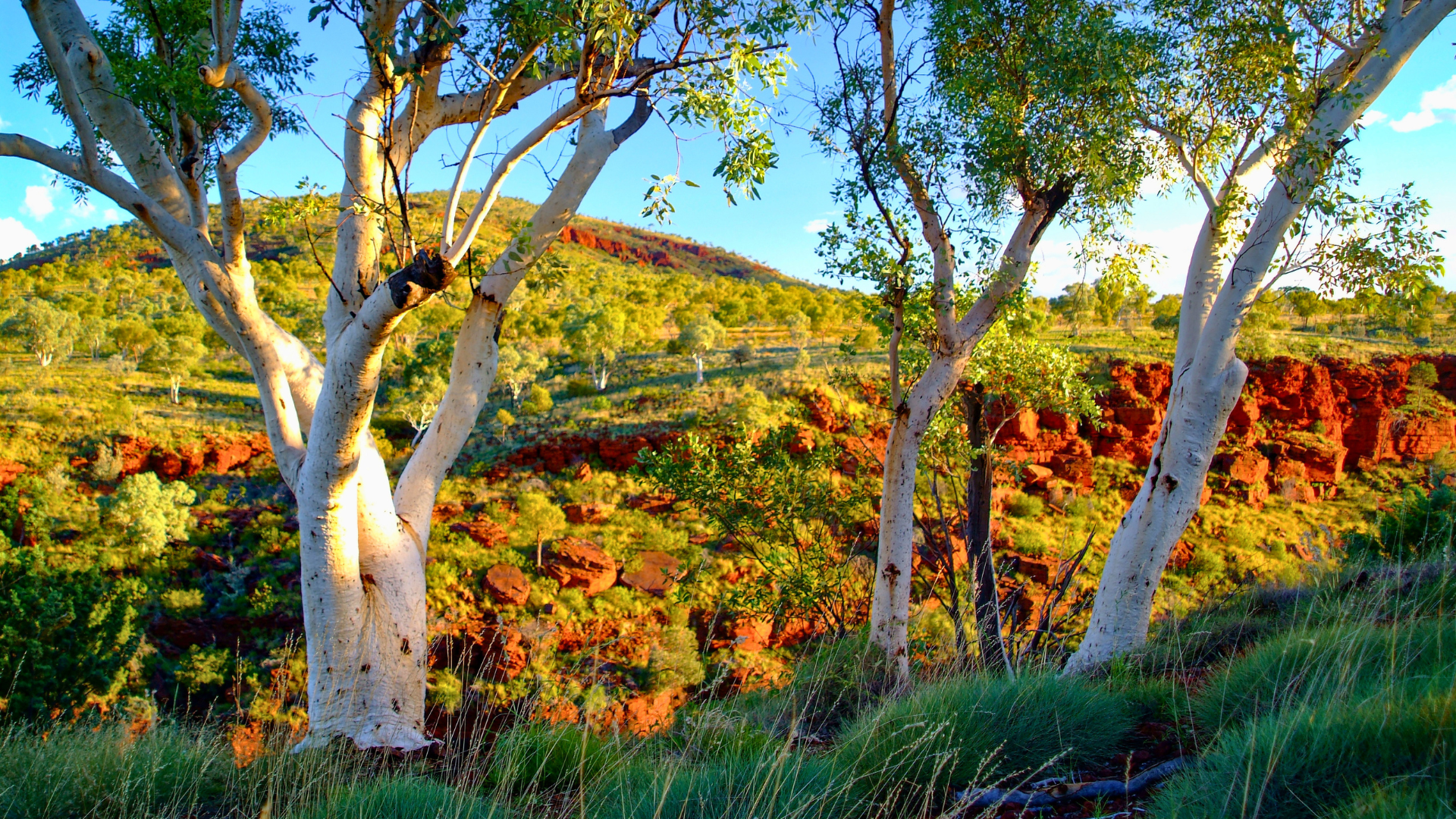 Resource 2: Community engagement and heritage services