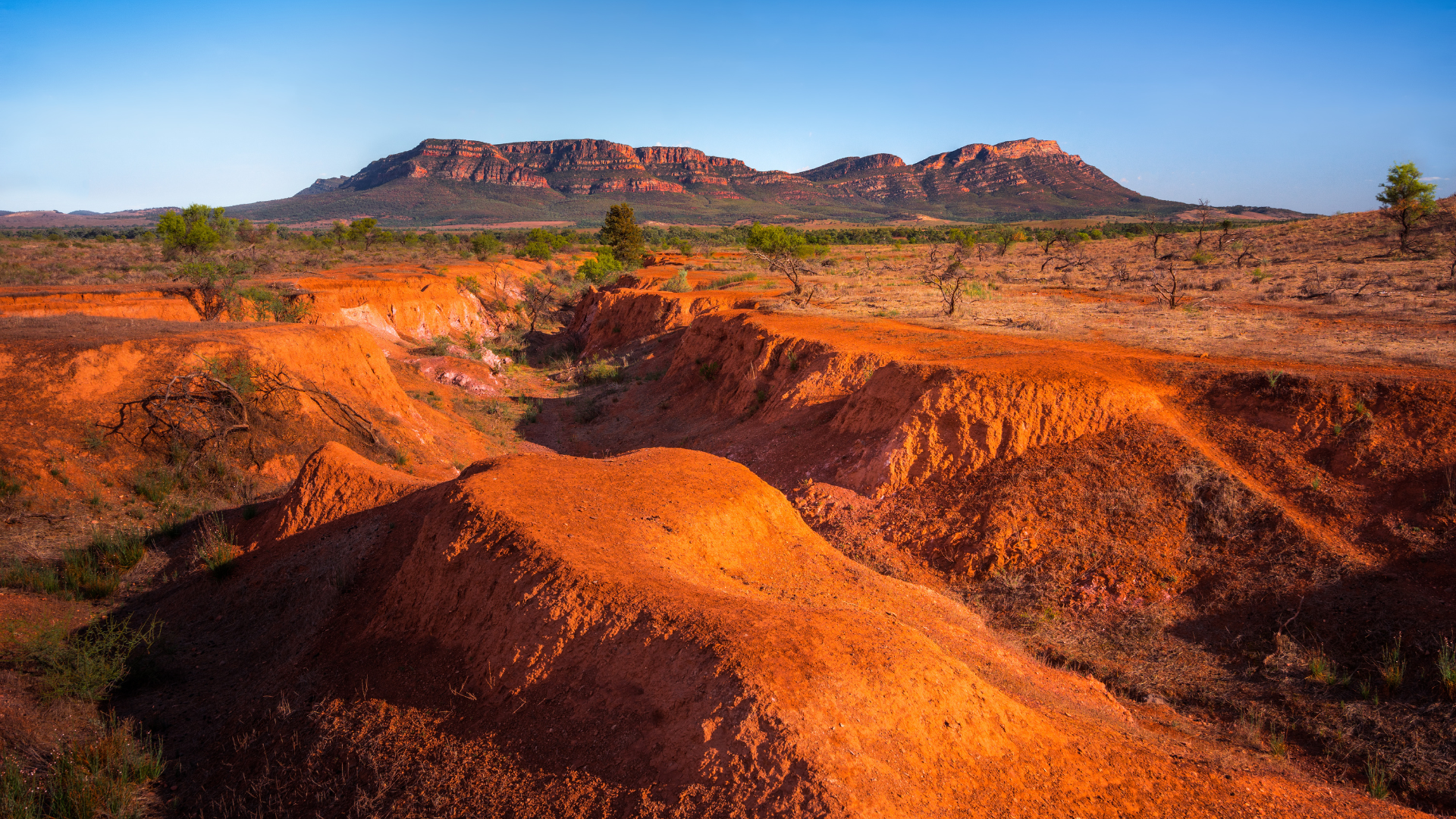 Powering Australia launches First Nations Clean-Tech Business Resources